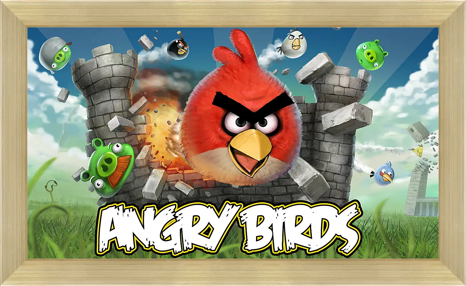 Картина в раме - Angry Birds
