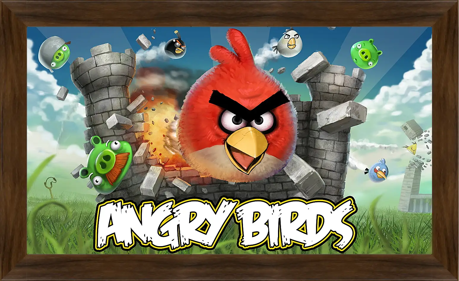 Картина в раме - Angry Birds
