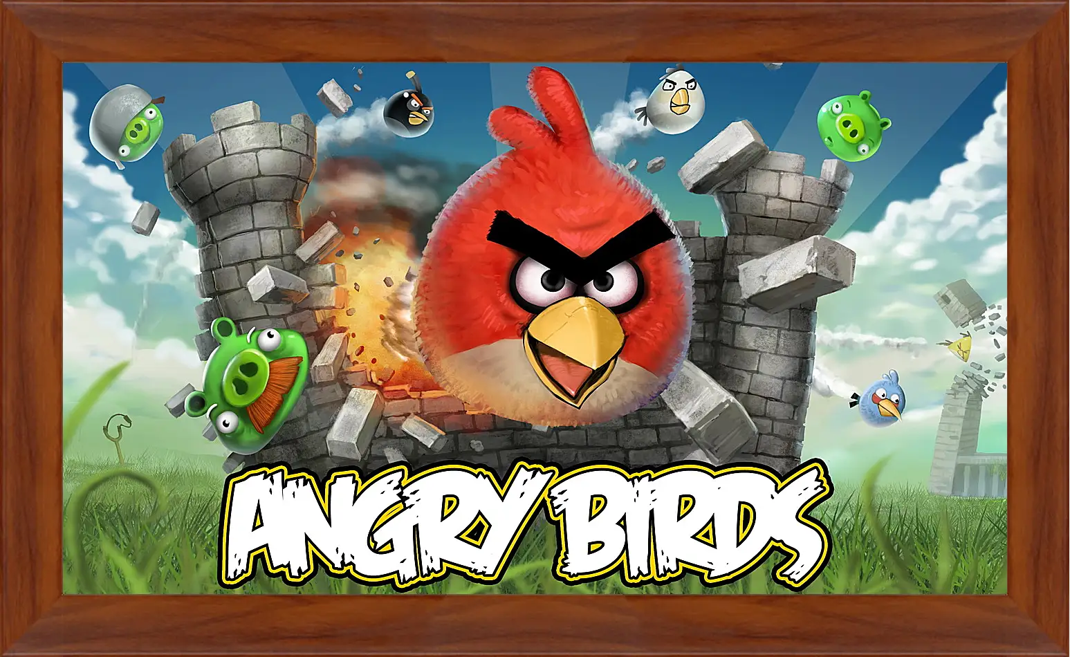 Картина в раме - Angry Birds
