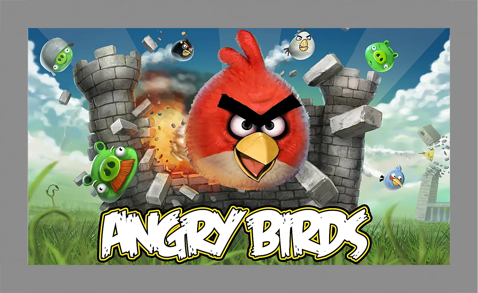 Картина в раме - Angry Birds
