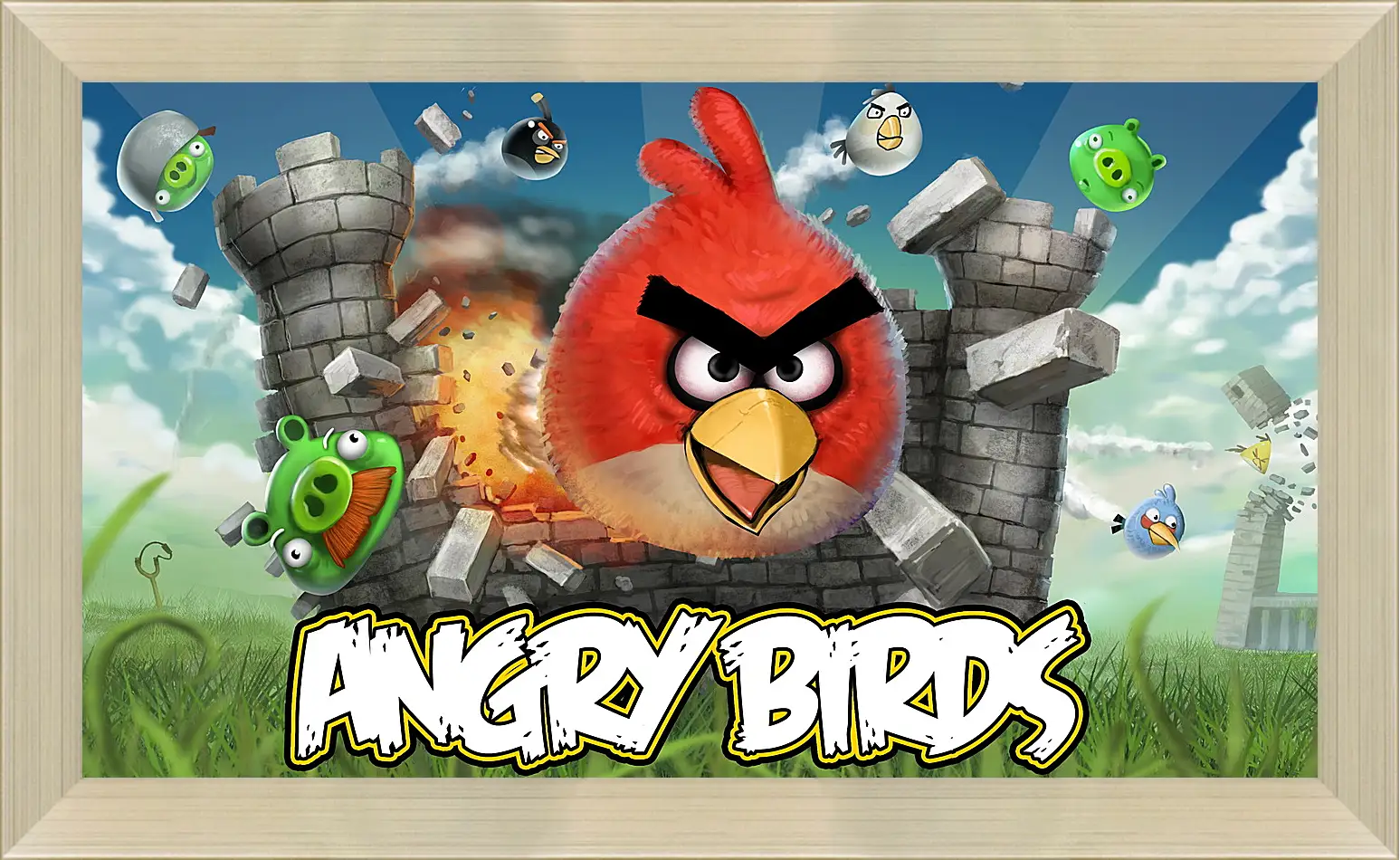 Картина в раме - Angry Birds
