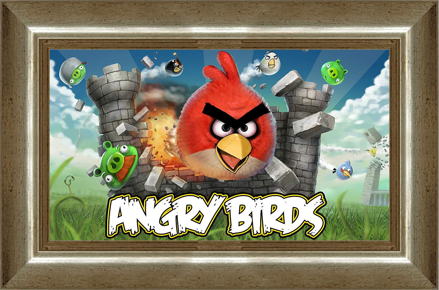 Картина в раме - Angry Birds
