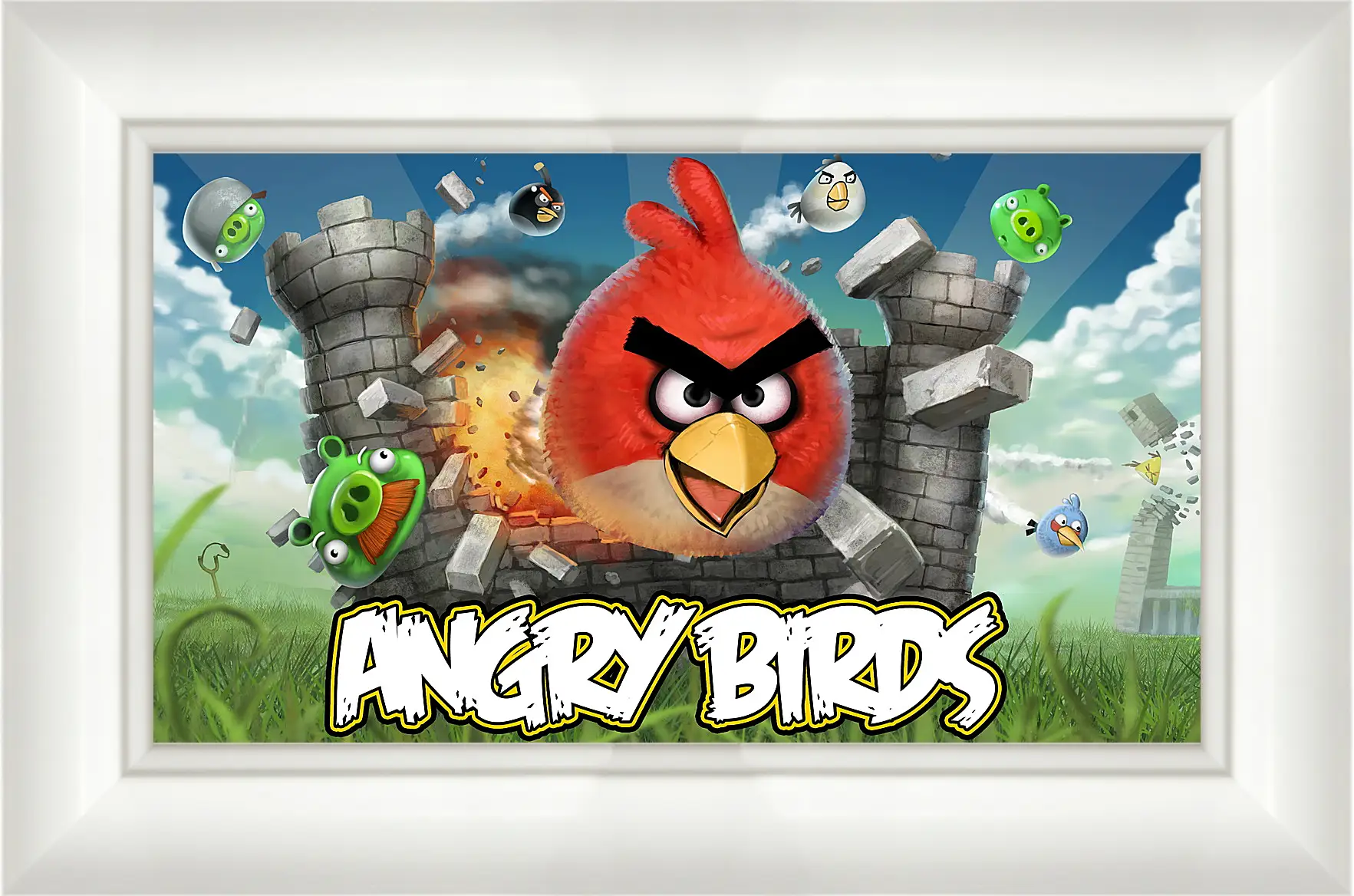 Картина в раме - Angry Birds
