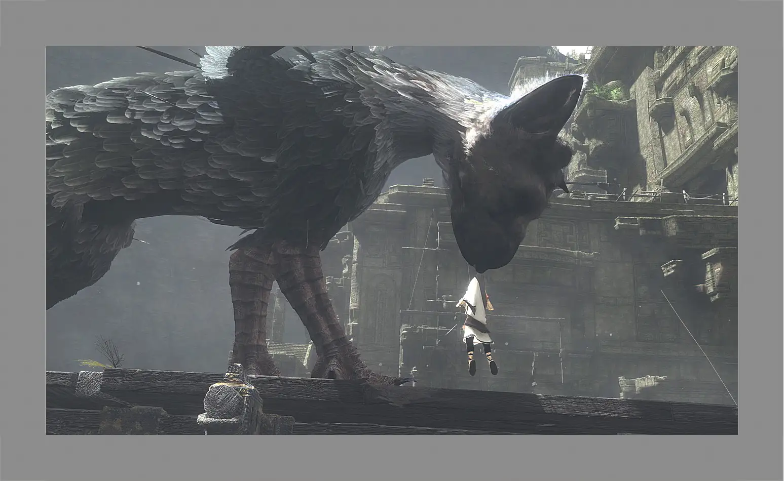 Картина в раме - The Last Guardian
