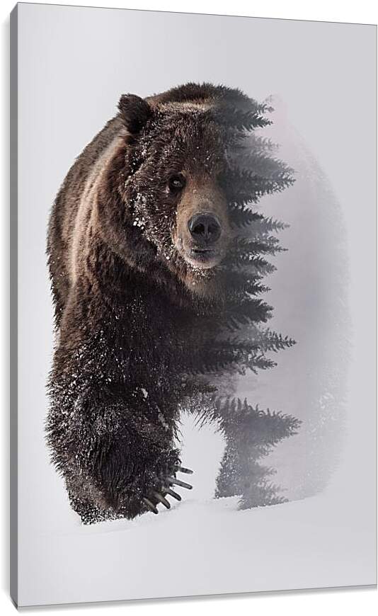 Постер и плакат - Медведь. Хозяин леса.