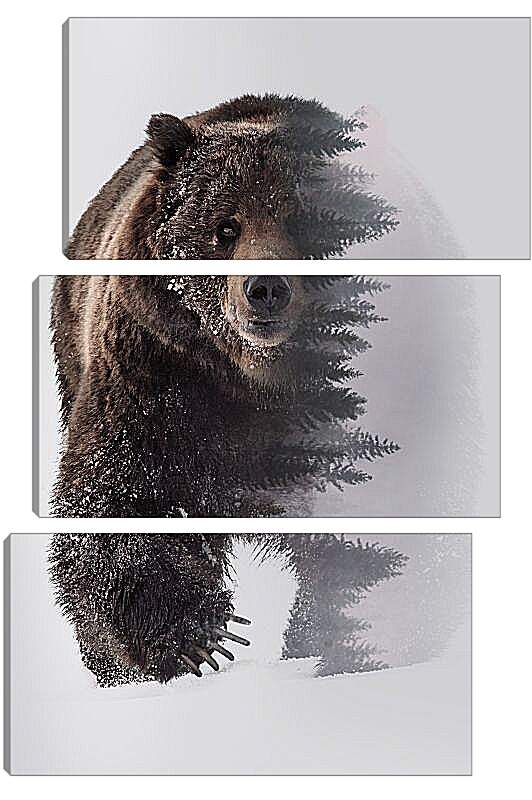 Модульная картина - Медведь. Хозяин леса.
