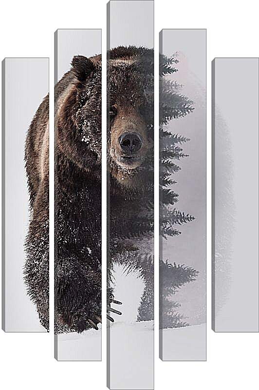 Модульная картина - Медведь. Хозяин леса.
