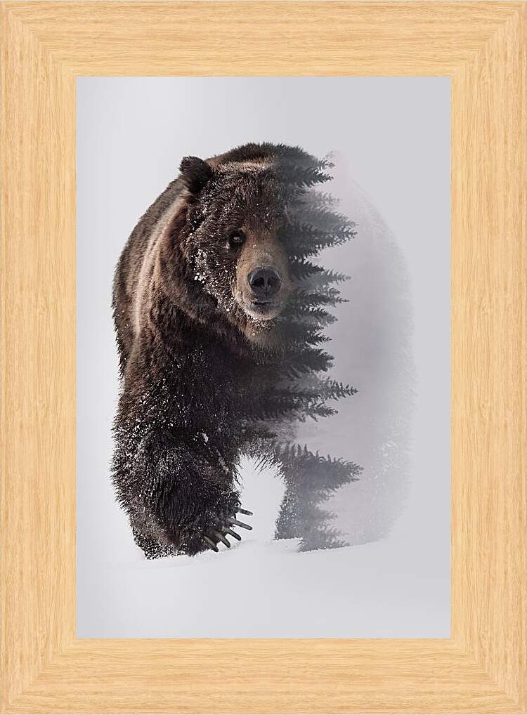 Картина в раме - Медведь. Хозяин леса.