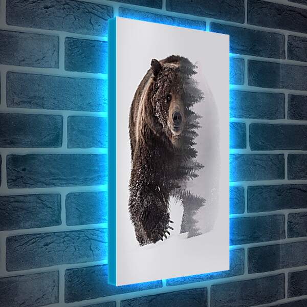 Лайтбокс световая панель - Медведь. Хозяин леса.