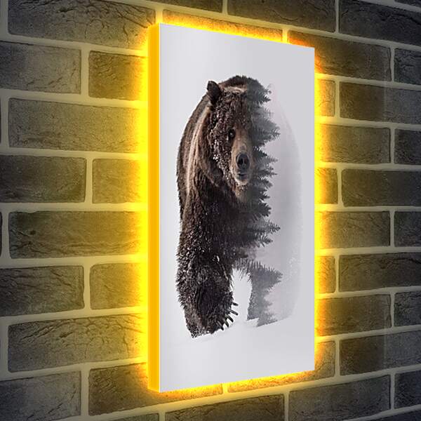 Лайтбокс световая панель - Медведь. Хозяин леса.