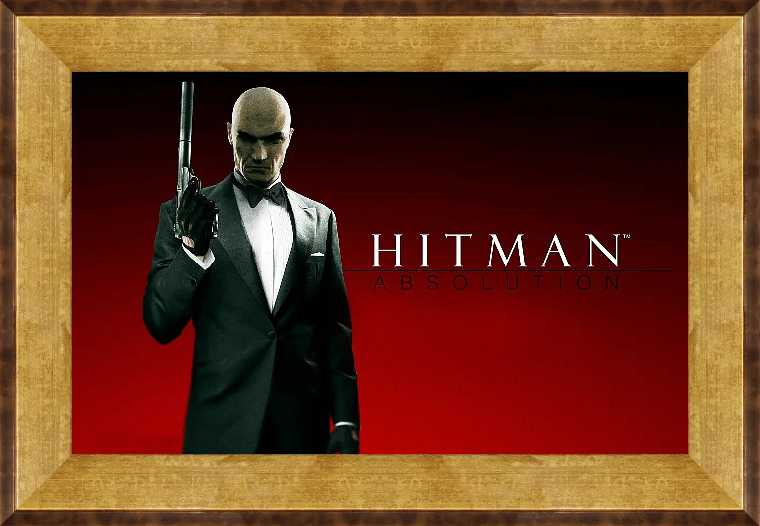 Картина в раме - Hitman: Absolution
