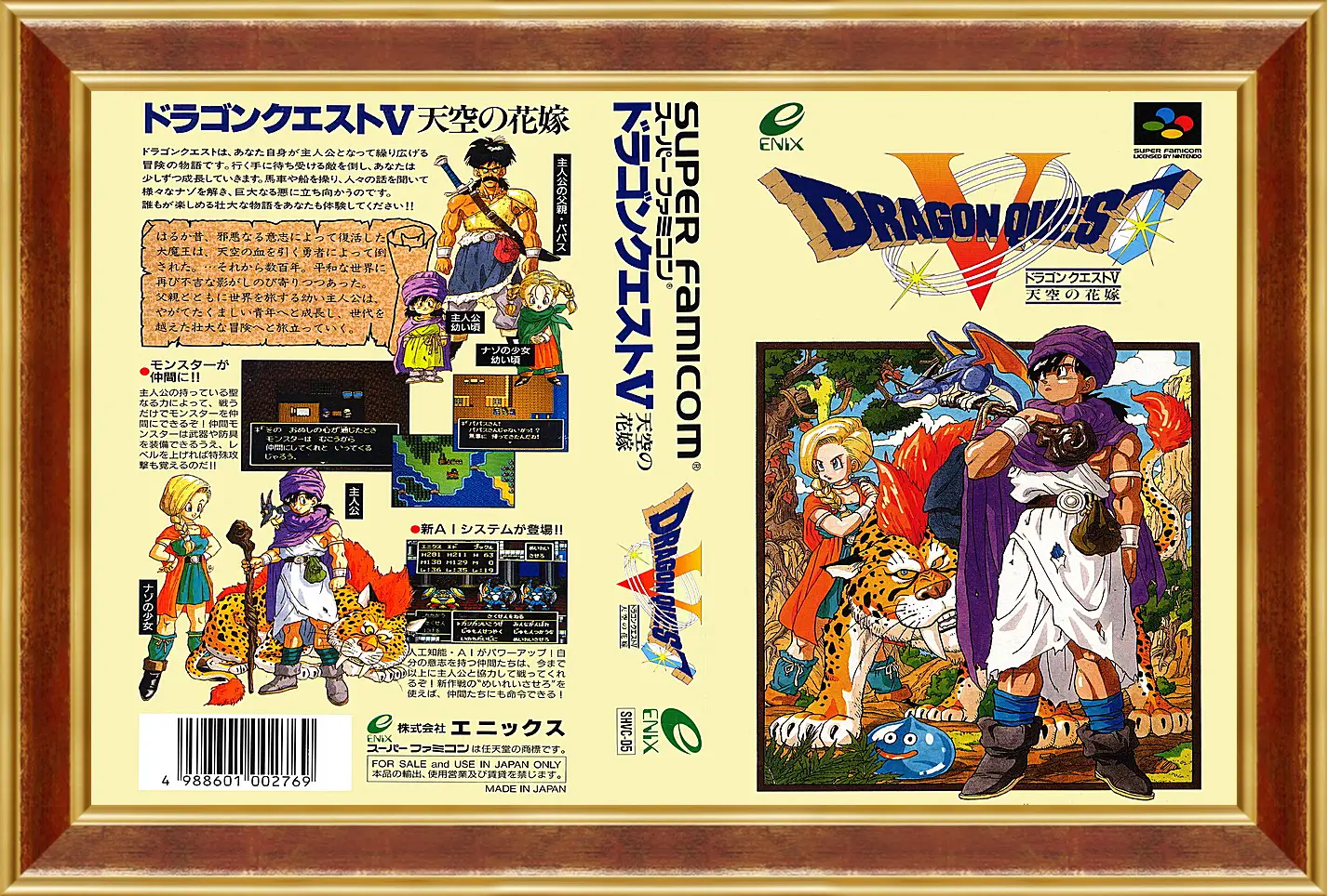 Картина в раме - Dragon Quest V
