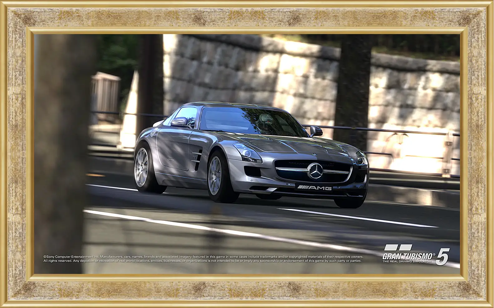 Картина в раме - Gran Turismo 5
