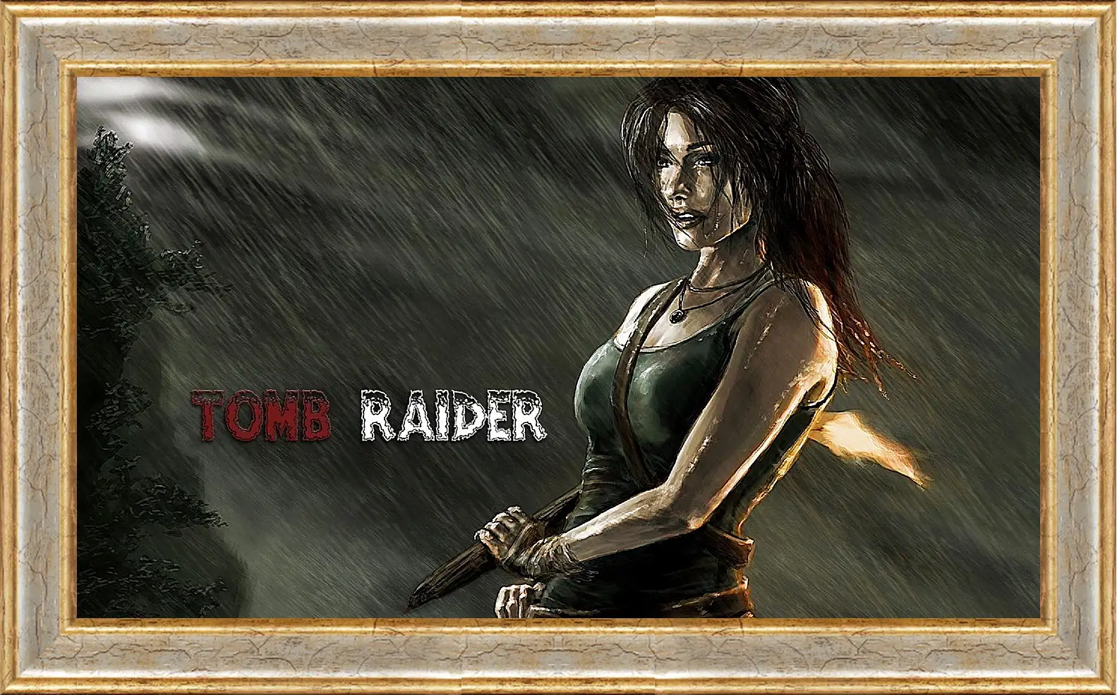 Картина в раме - Tomb Raider