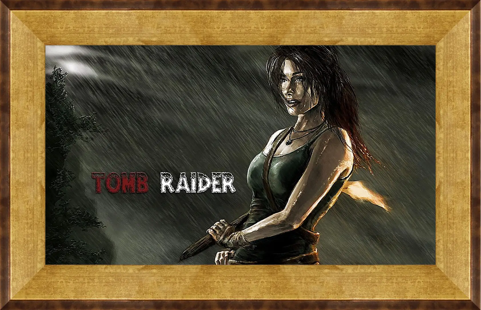 Картина в раме - Tomb Raider