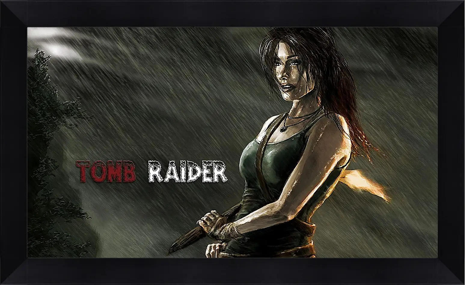 Картина в раме - Tomb Raider