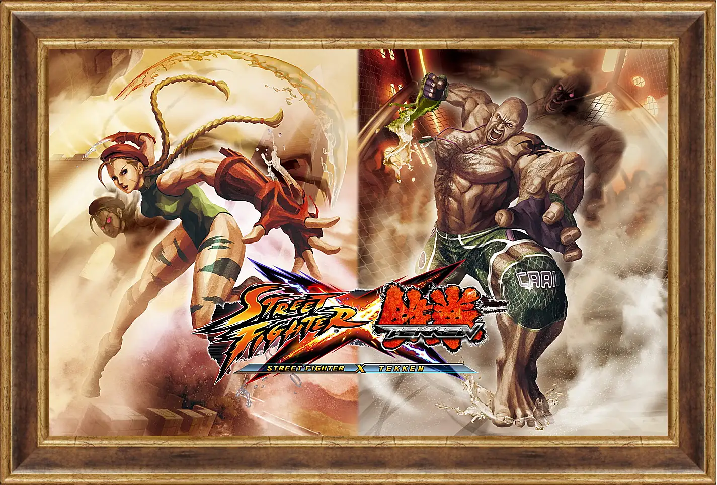 Картина в раме - Street Fighter X Tekken
