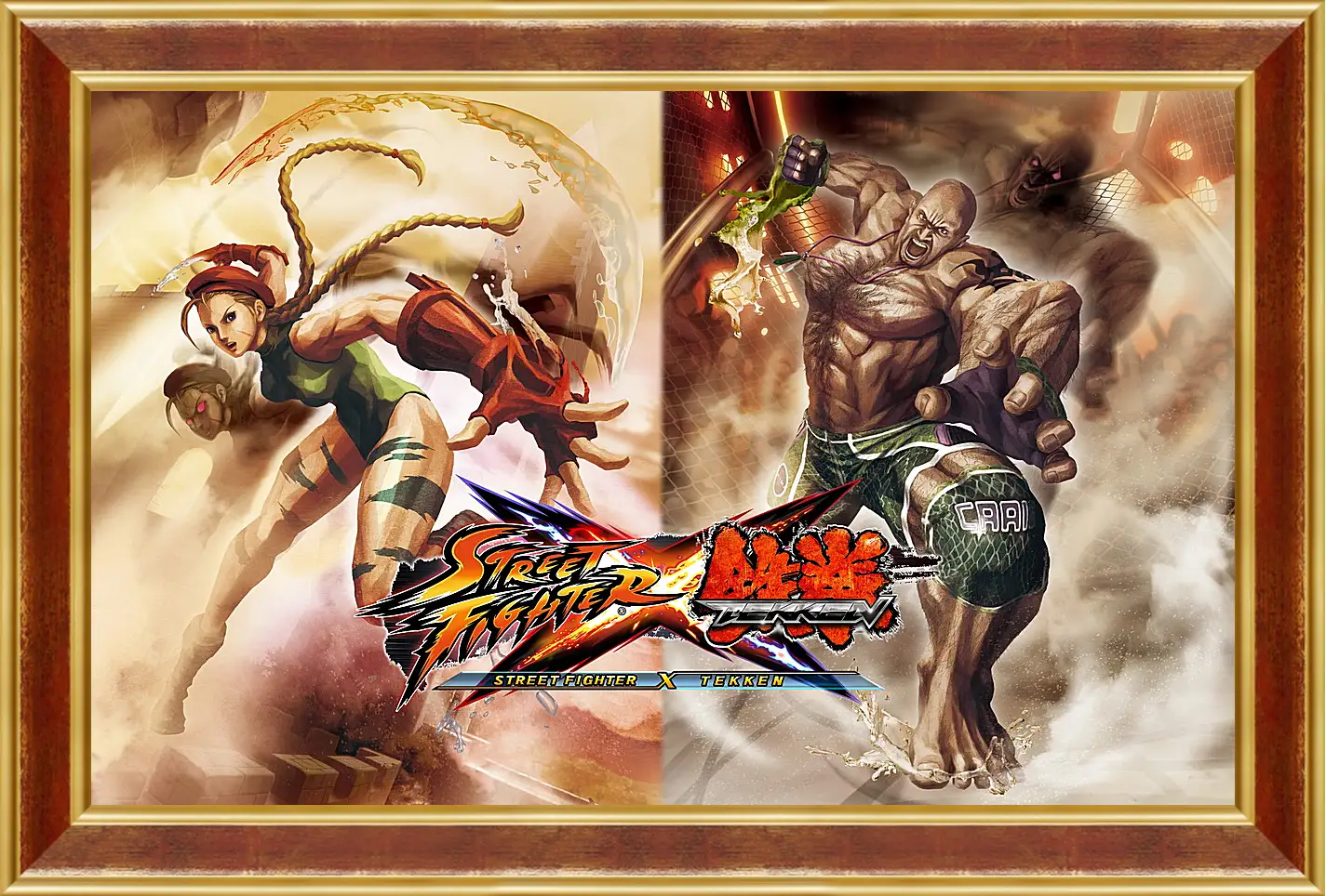 Картина в раме - Street Fighter X Tekken
