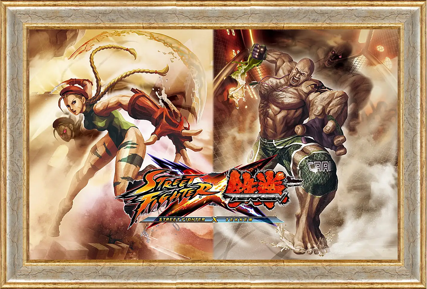 Картина в раме - Street Fighter X Tekken
