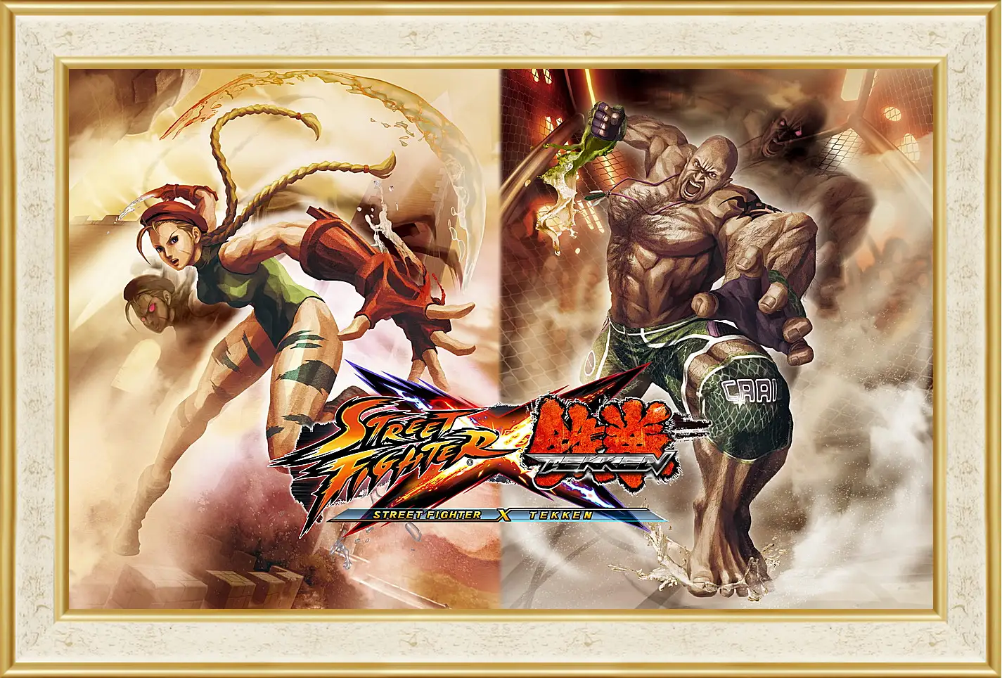 Картина в раме - Street Fighter X Tekken
