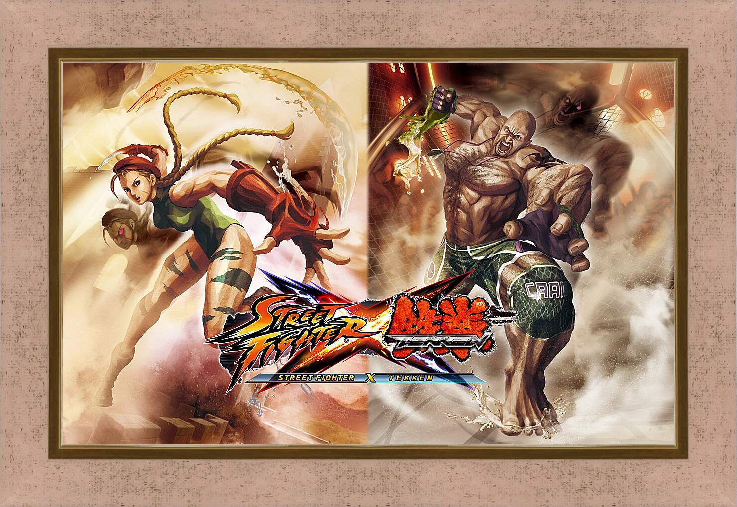 Картина в раме - Street Fighter X Tekken
