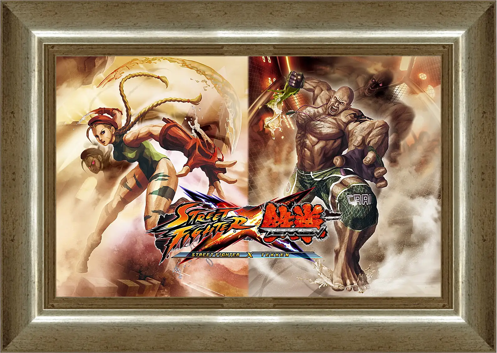 Картина в раме - Street Fighter X Tekken
