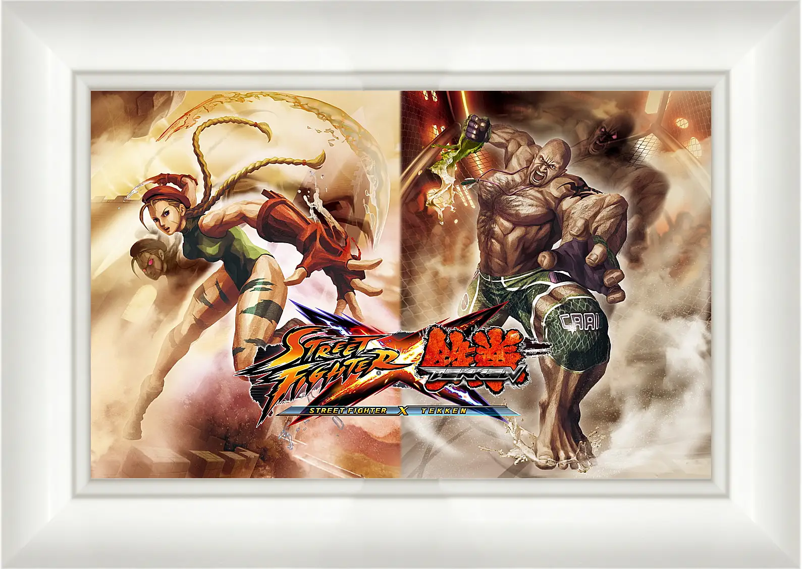 Картина в раме - Street Fighter X Tekken
