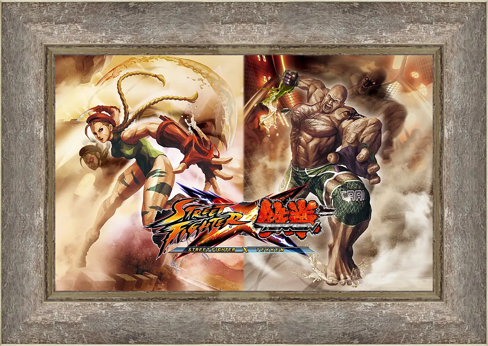 Картина в раме - Street Fighter X Tekken
