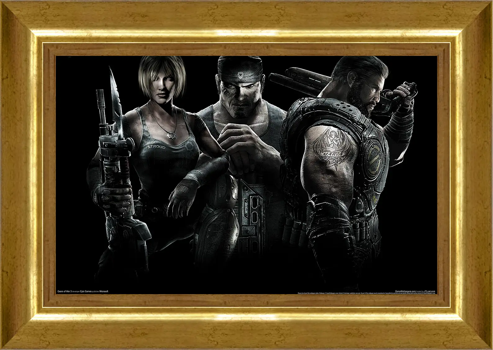 Картина в раме - Gears Of War 3
