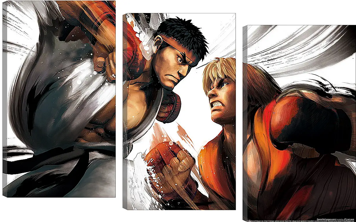 Модульная картина - Street Fighter
