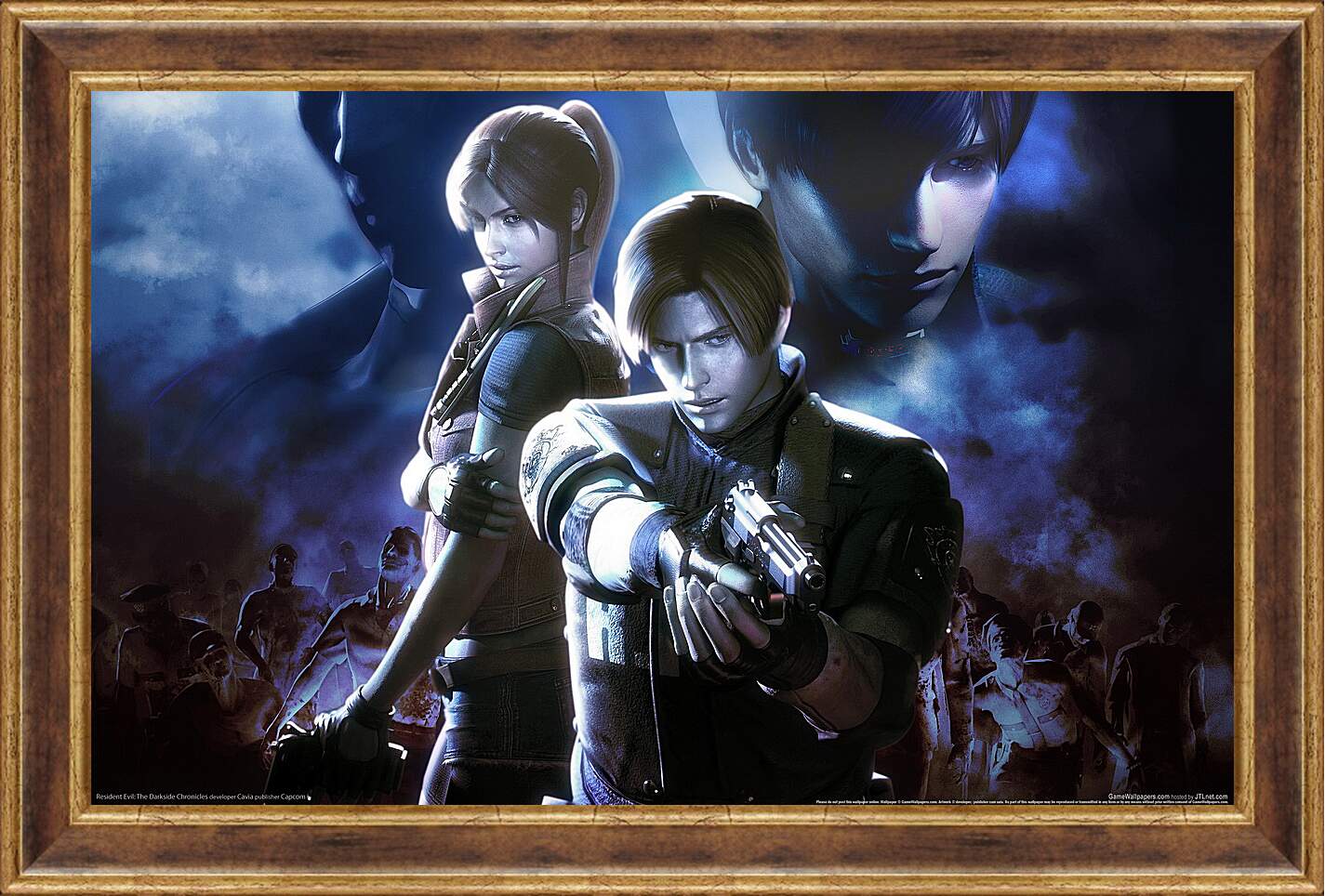 Картина в раме - Resident Evil: Chronicles