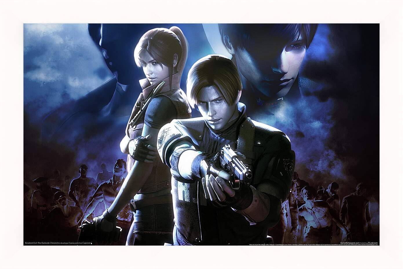 Картина в раме - Resident Evil: Chronicles