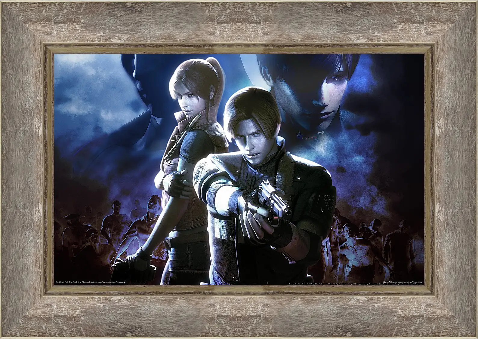 Картина в раме - Resident Evil: Chronicles