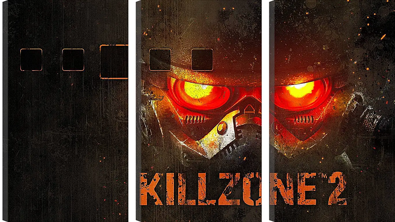 Модульная картина - Killzone 2
