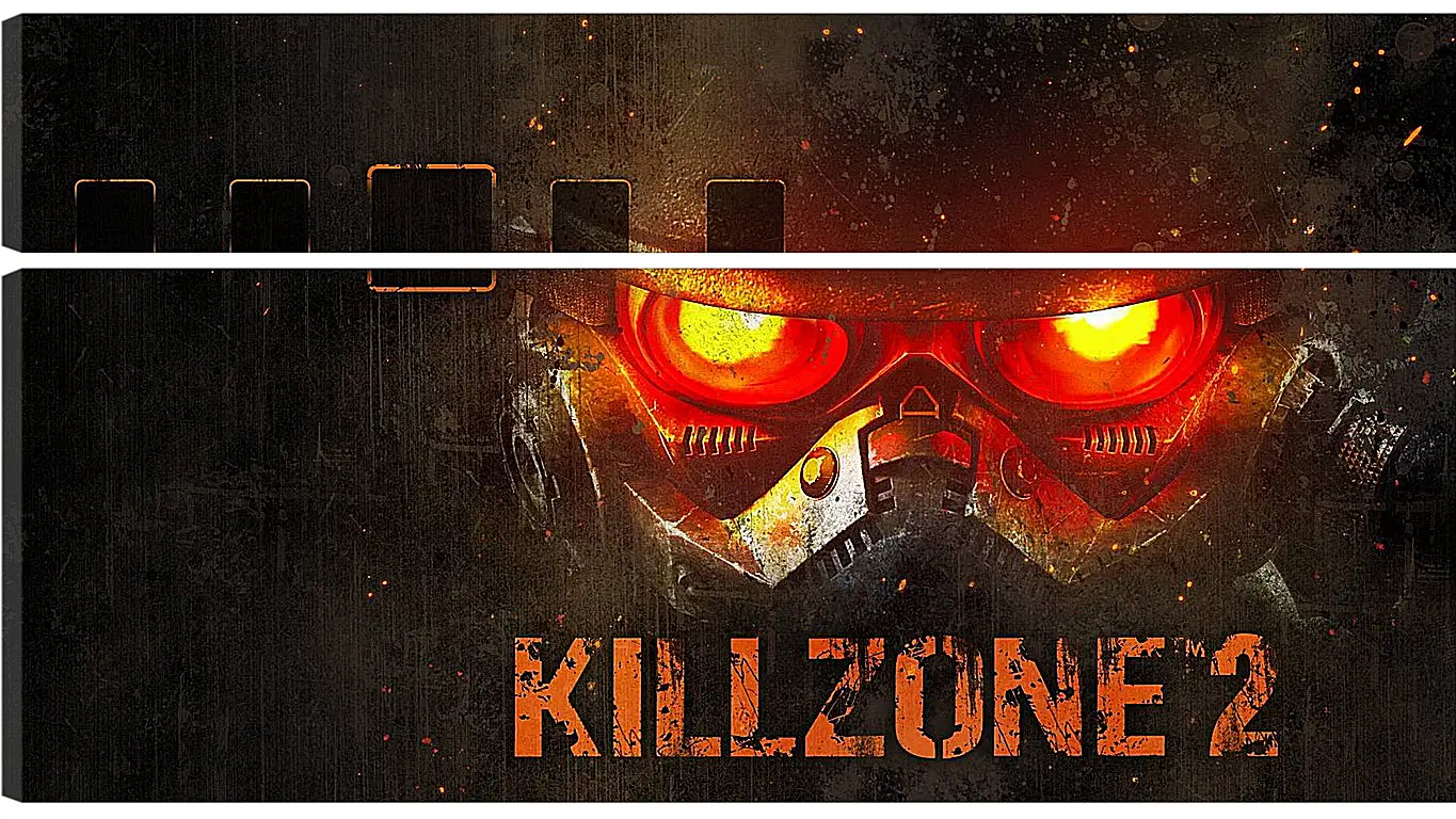 Модульная картина - Killzone 2
