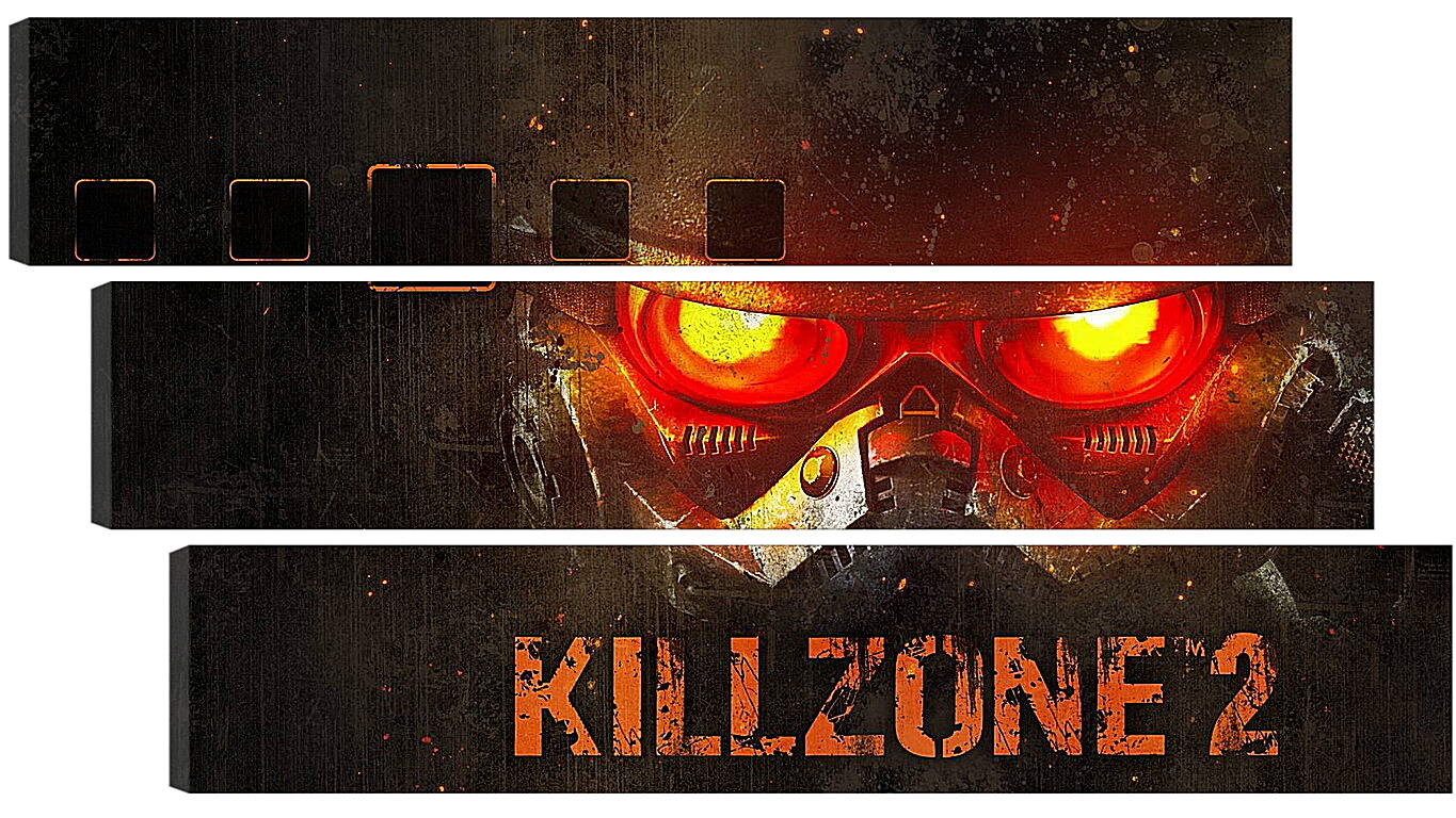 Модульная картина - Killzone 2
