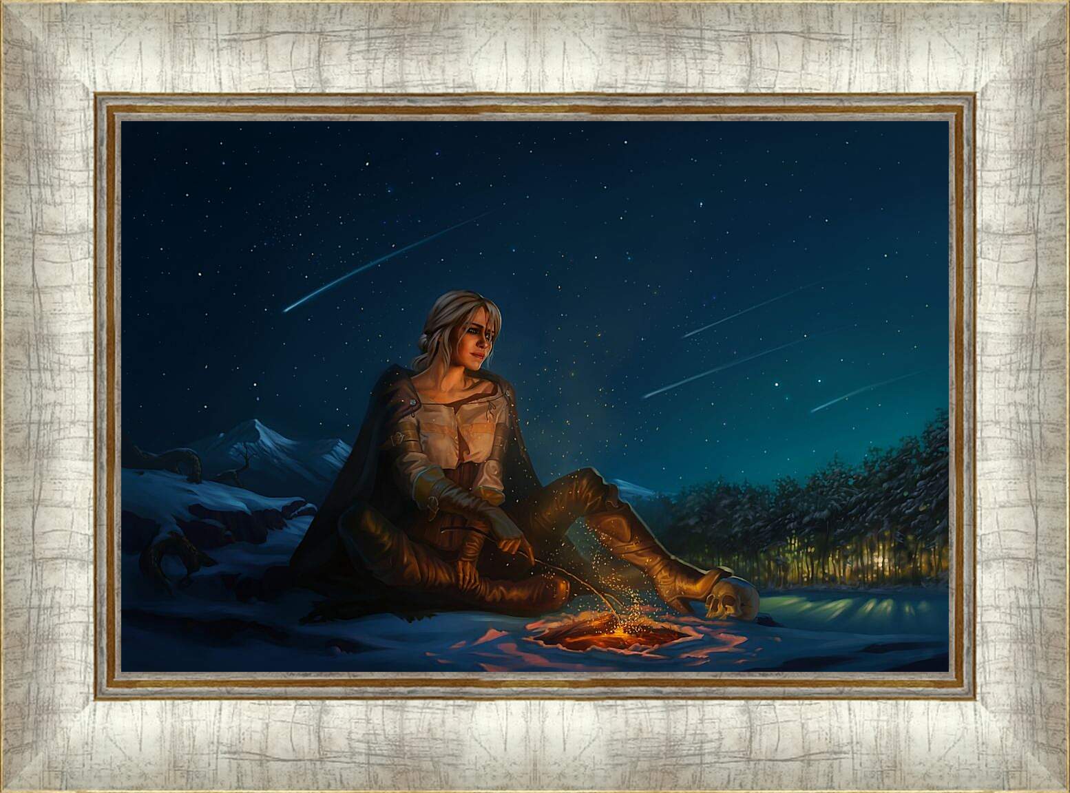 Картина в раме - The Witcher (Ведьмак), Цирилла на привале