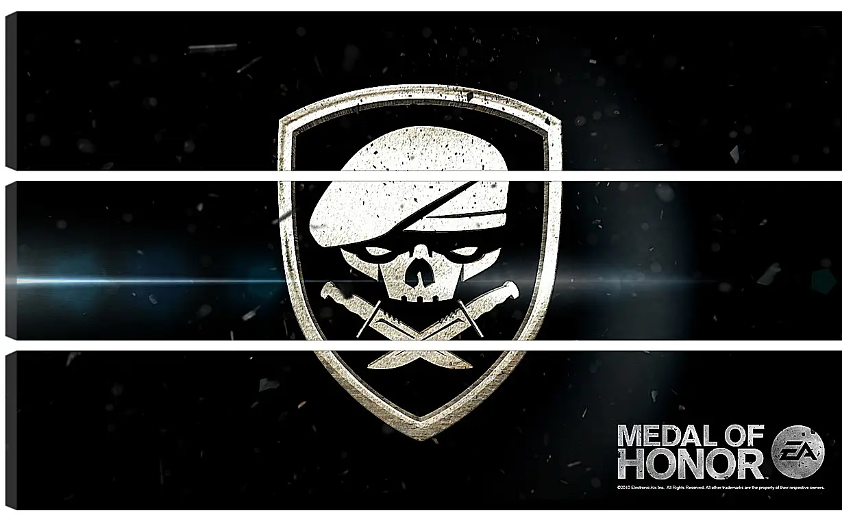 Модульная картина - Medal Of Honor
