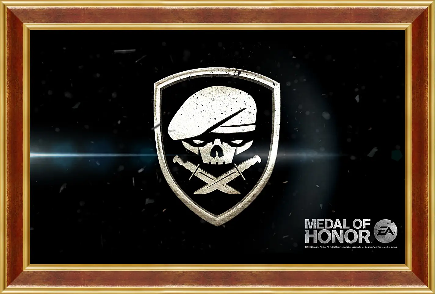 Картина в раме - Medal Of Honor
