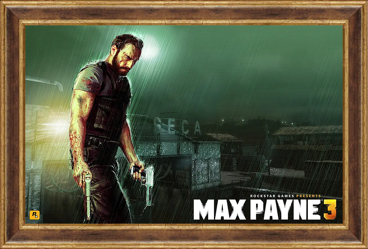 Картина в раме - Max Payne
