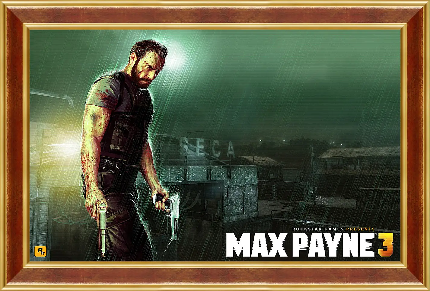 Картина в раме - Max Payne
