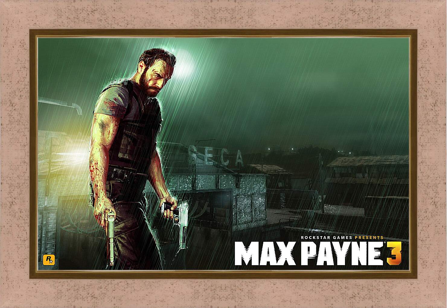 Картина в раме - Max Payne
