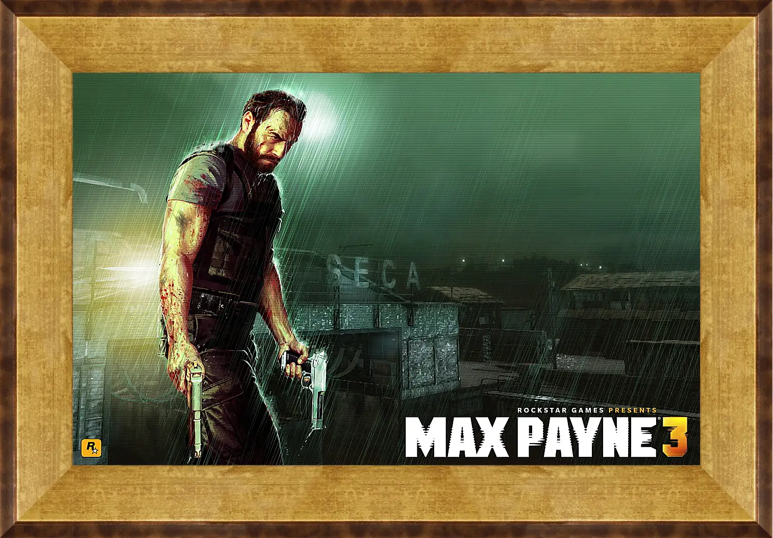 Картина в раме - Max Payne
