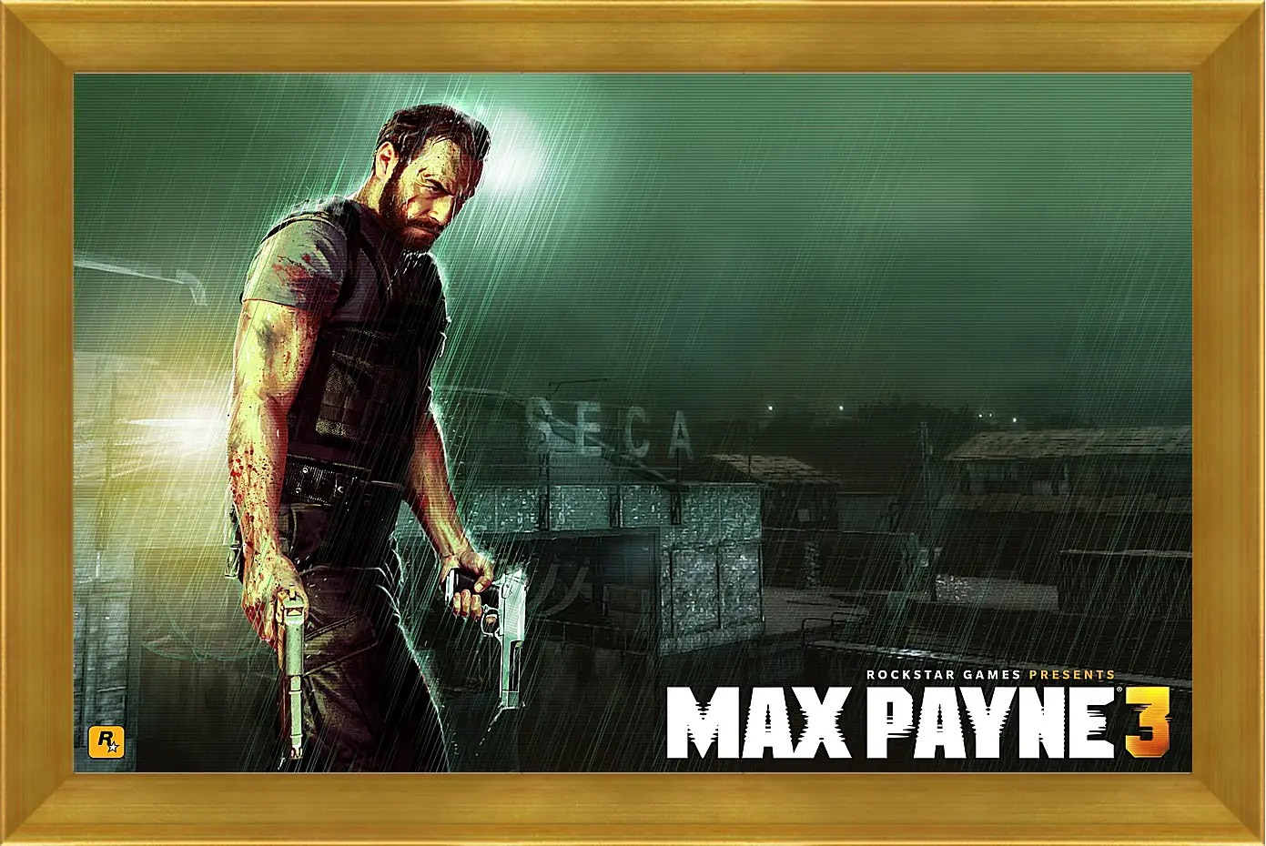 Картина в раме - Max Payne
