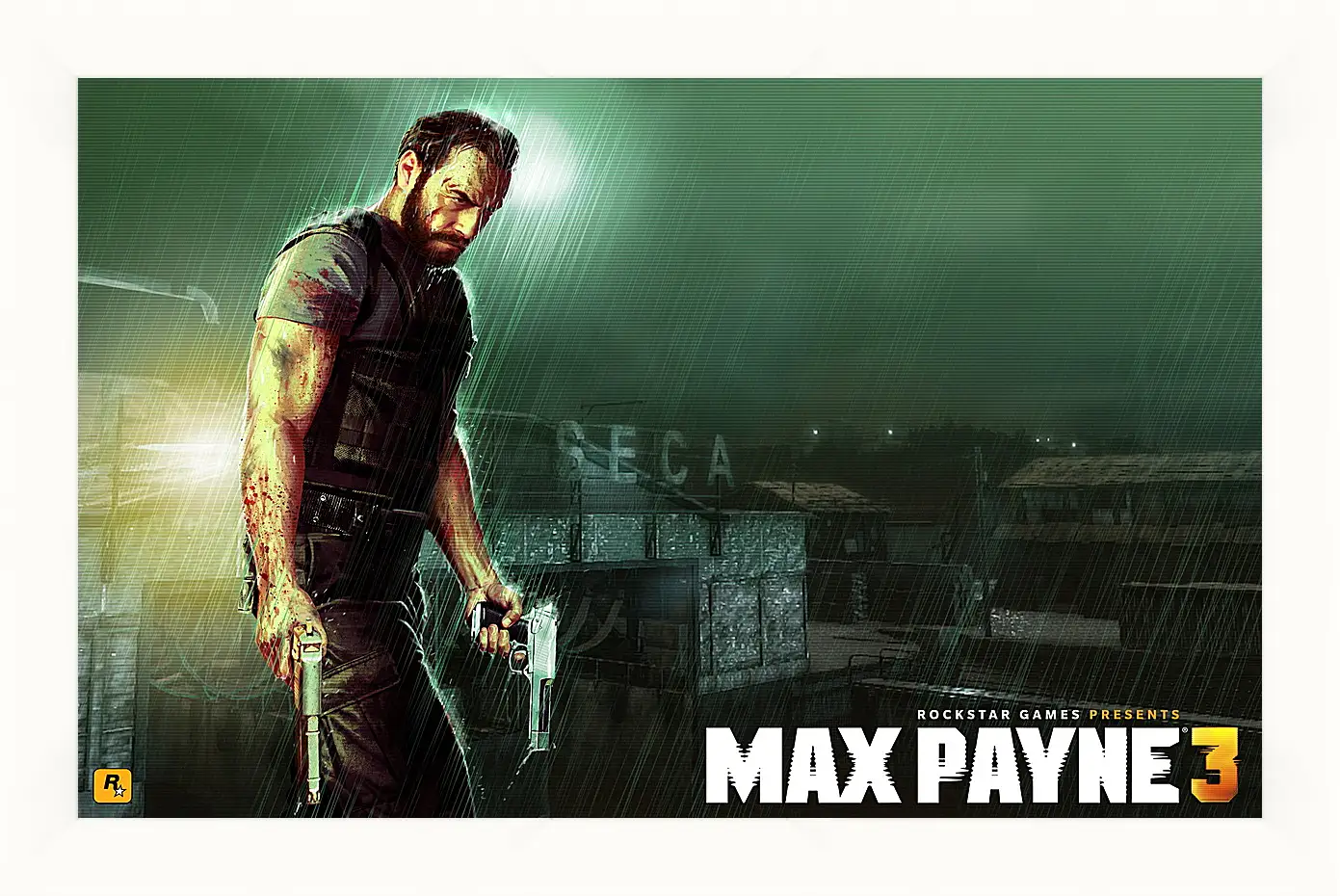 Картина в раме - Max Payne
