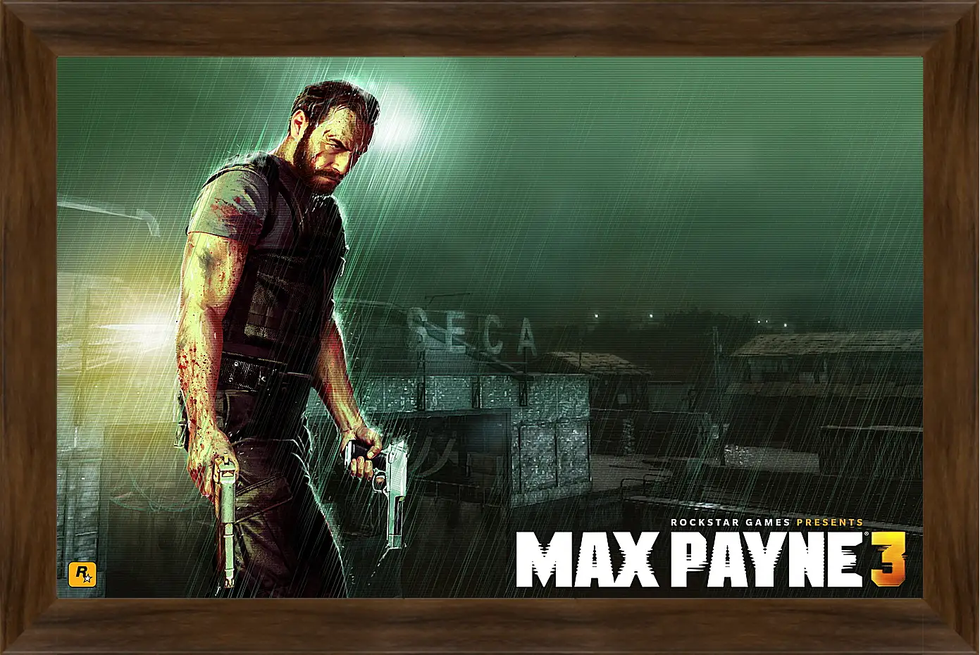 Картина в раме - Max Payne
