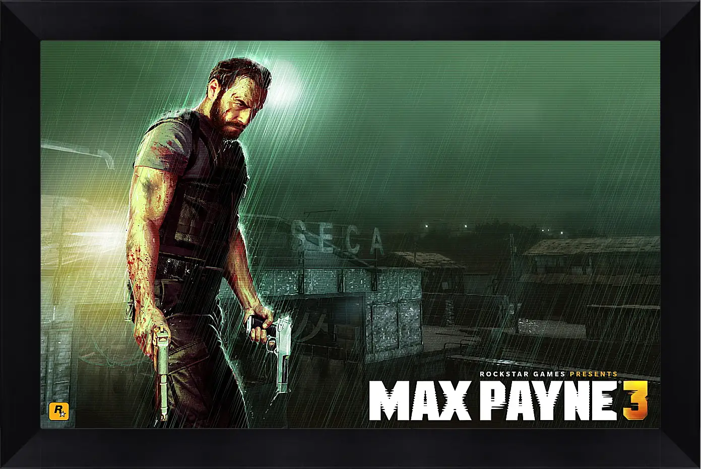 Картина в раме - Max Payne
