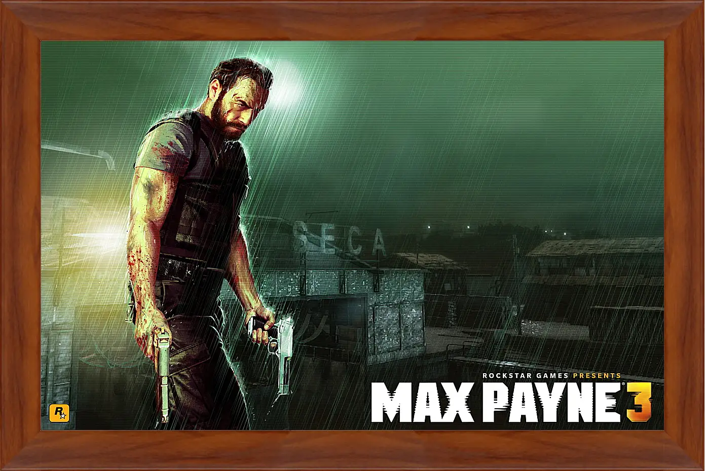 Картина в раме - Max Payne
