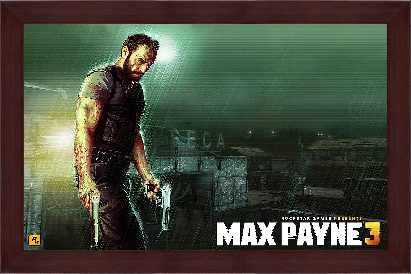 Картина в раме - Max Payne
