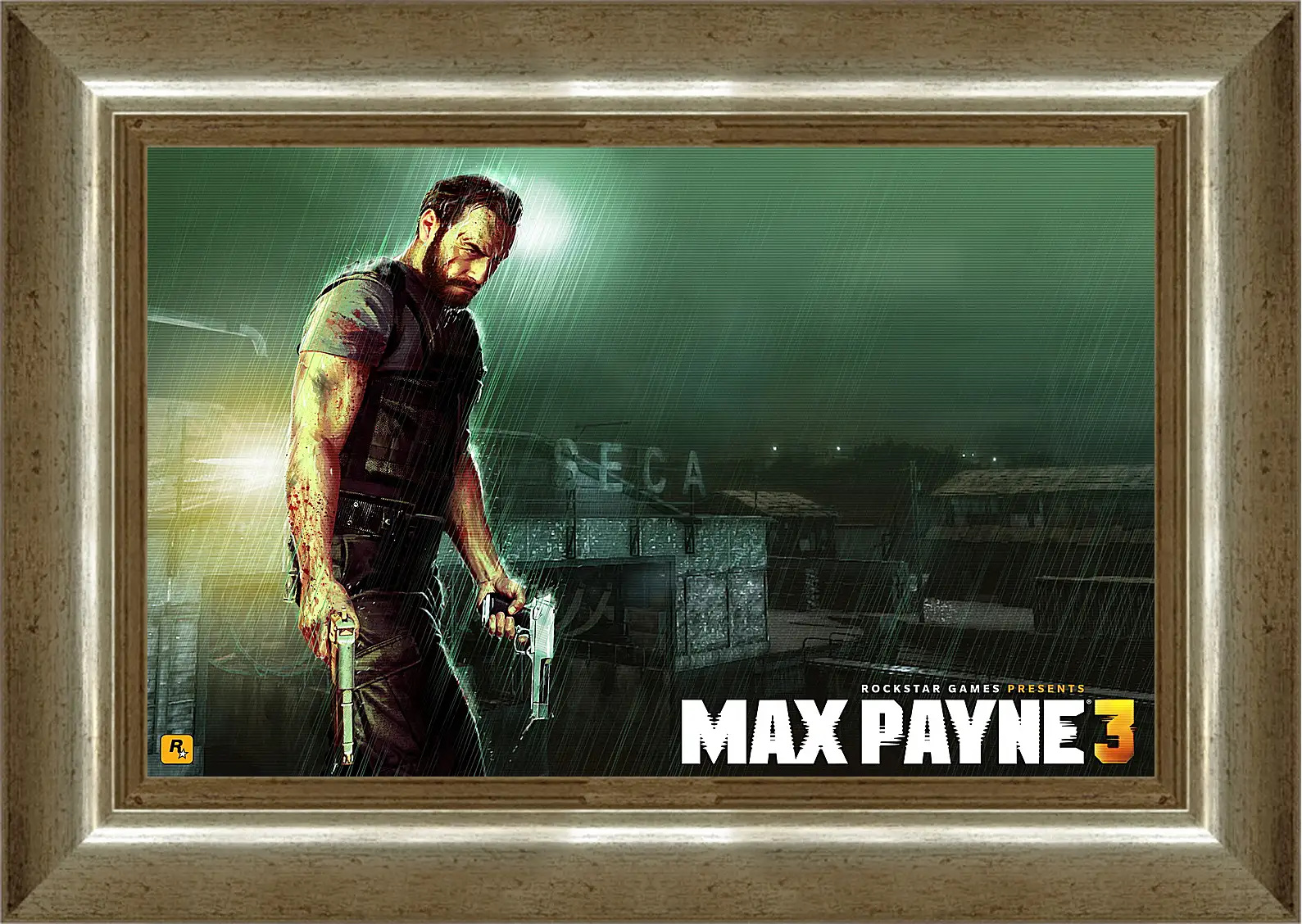 Картина в раме - Max Payne
